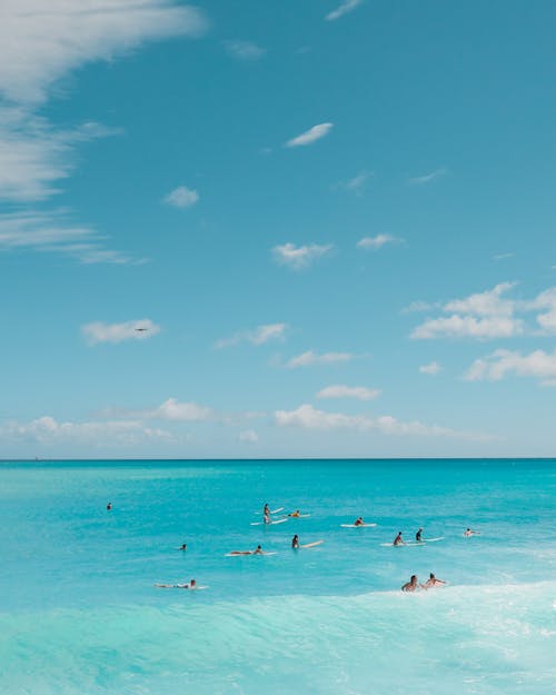 冲浪摄影, 夏威夷, 天堂 的 免费素材图片
