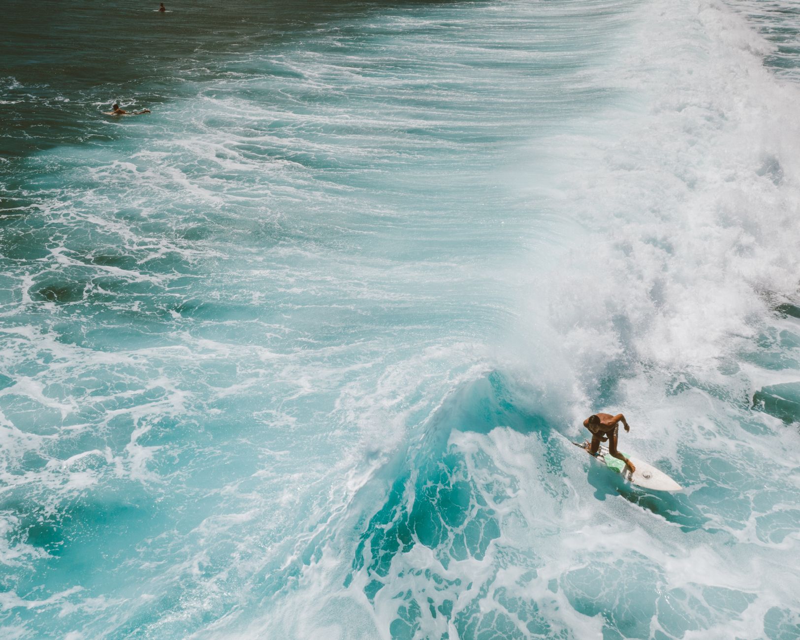 Riding the AI Wave: How You Can Stay Ahead of the Curve