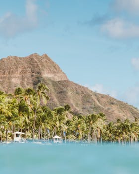 Photo by Jess Loiterton Scenic view of Diamond Head Crater surrounded by palm trees in Hawaii, capturing tropical beauty.