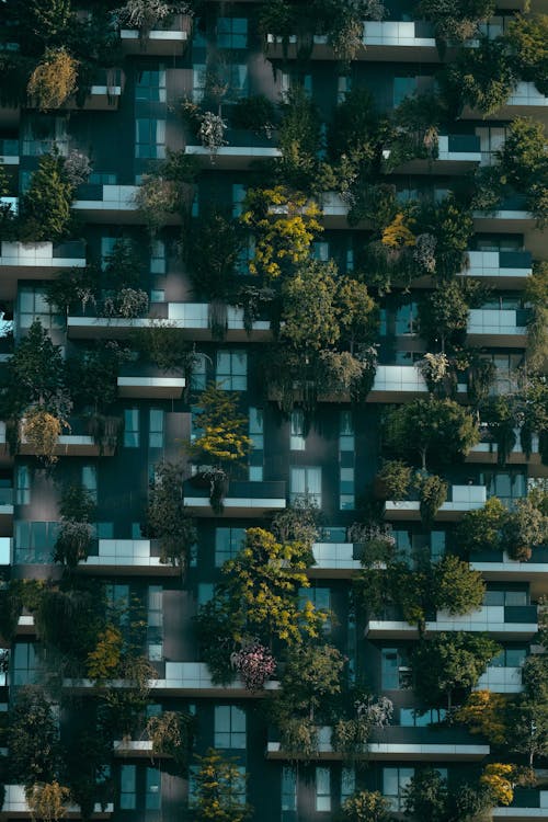 现代住宅建筑立面装饰着绿色的植物