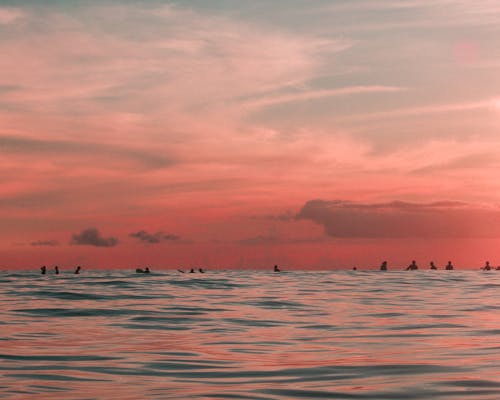 Free Silhouette of People on the Ocean Stock Photo