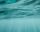under the sea