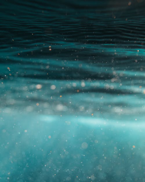 Foto profissional grátis de água, atraente, azul
