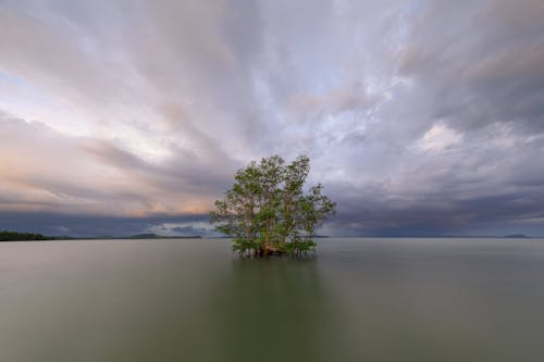 Free stock photo of beautiful sunset, cloud, empty