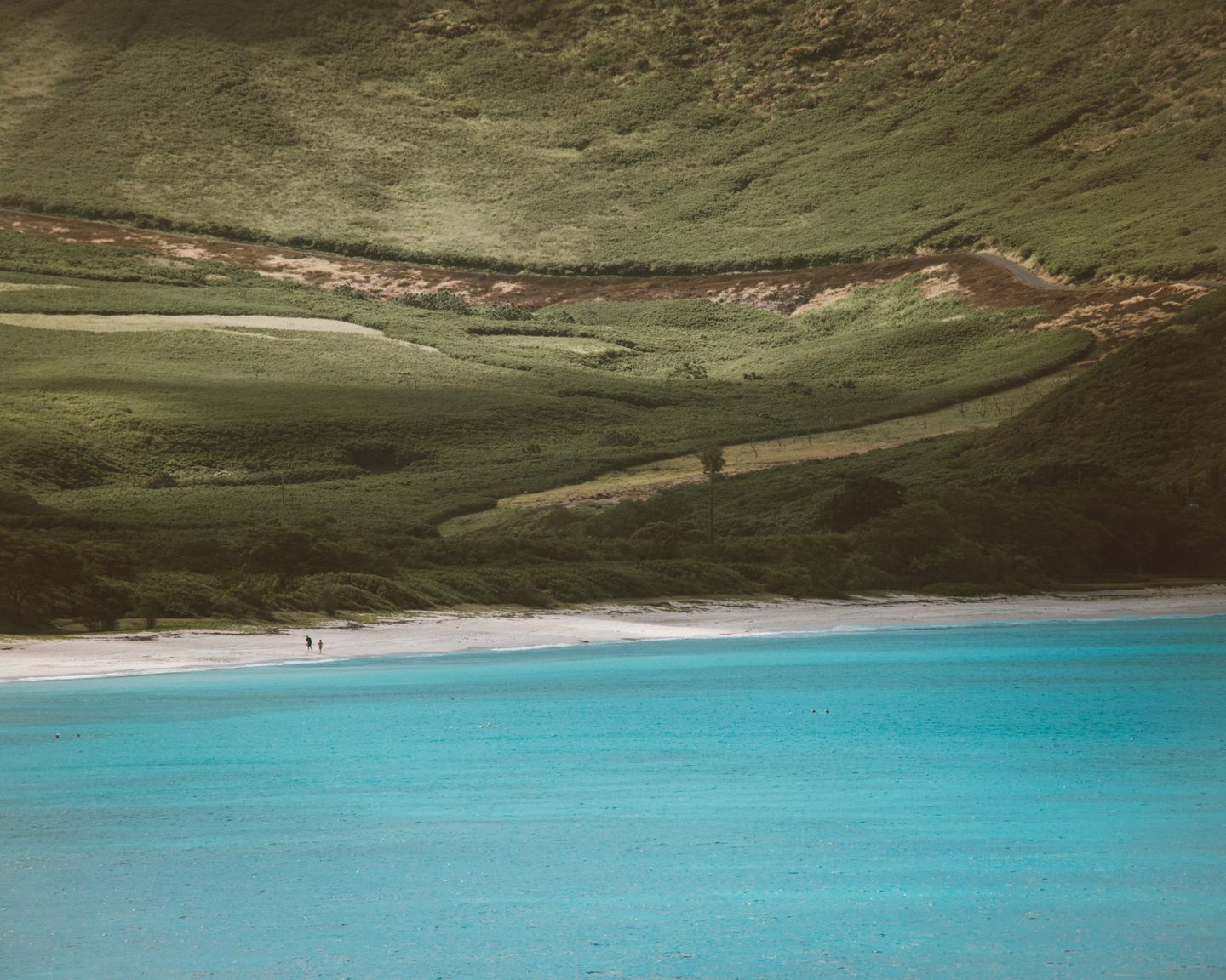 A quiet Hawaiian beach with green hills rising behind it