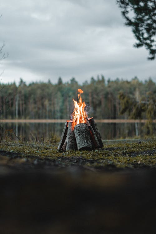 Bonfire on Green Grass Field