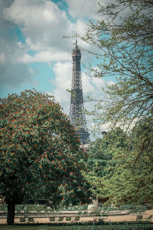 From below of lush green trees in city park near famous Eiffel Tower located in Paris against cloudy blue sky