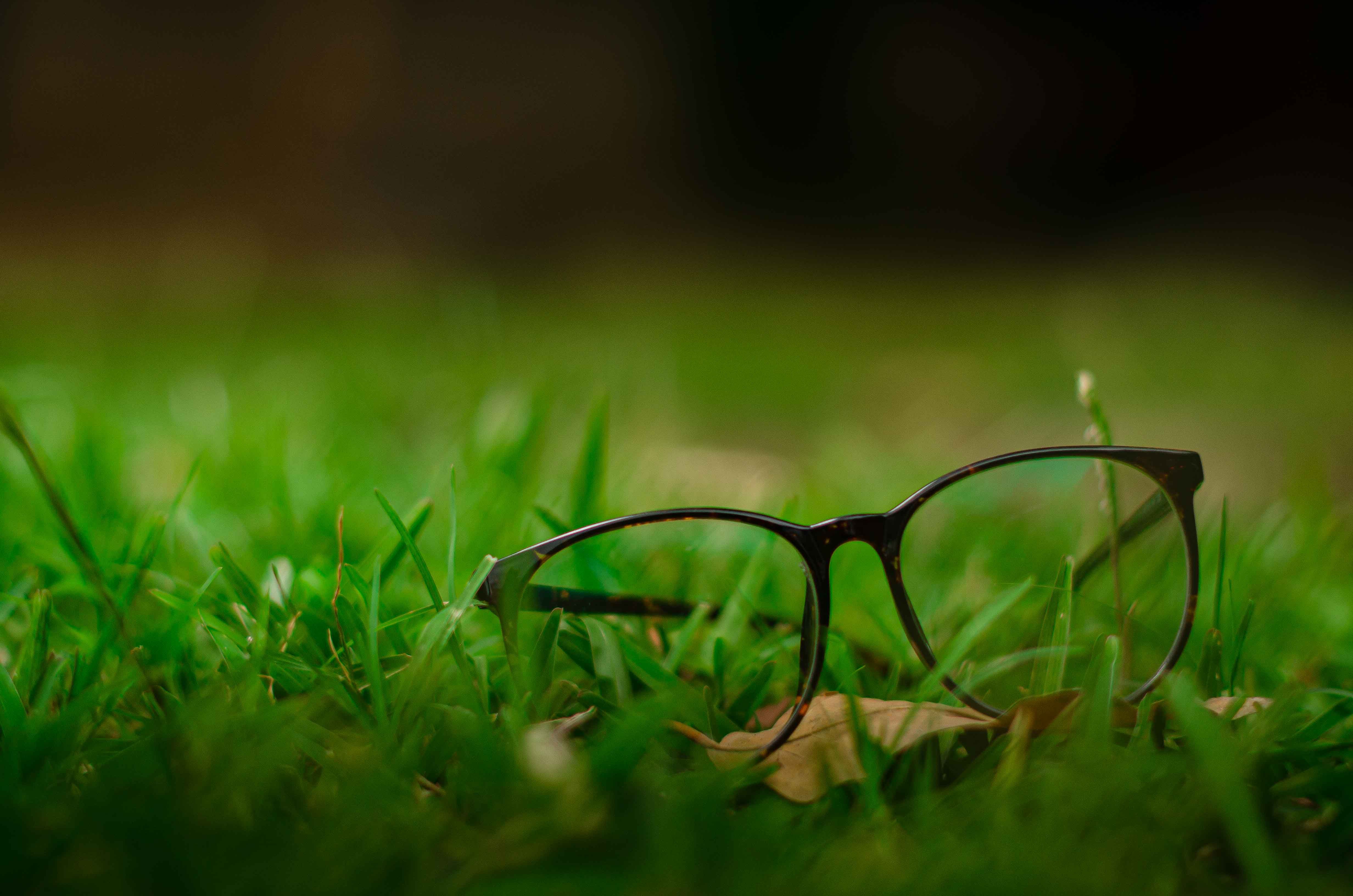 Close-up of eyeglasses lying on lush green grass with a blurred background for a serene effect.
