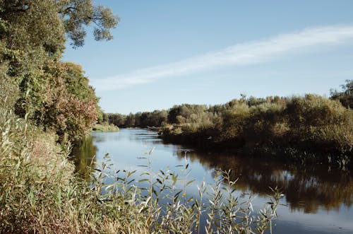 감탄하다, 강, 강변의 무료 스톡 사진