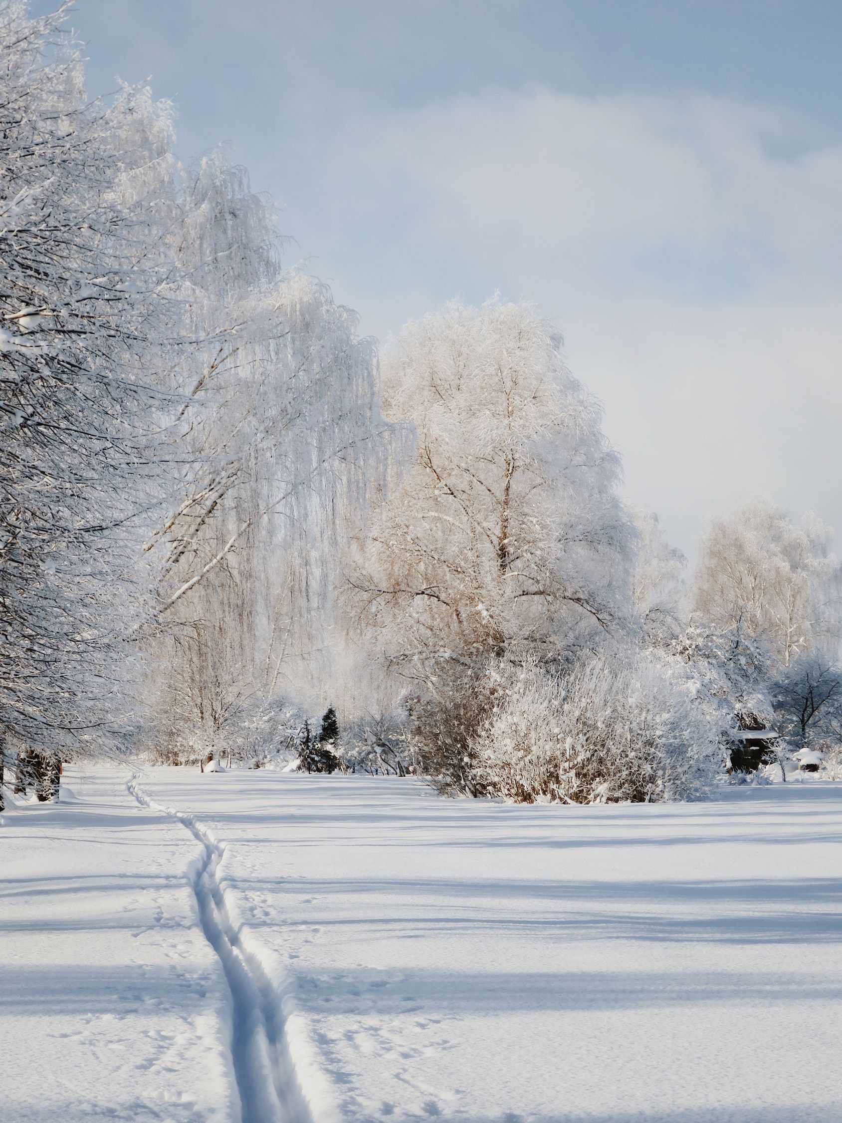 Snowy Walkway In Park Against Amazing Winter Scenery Free Stock Photo snowy-walkway-in-park-against-amazing-winter-scenery-free-stock-photo