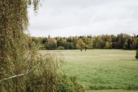 From above of open grassland against beautiful colorful trees and cloudy sky on autumn nasty day in countryside