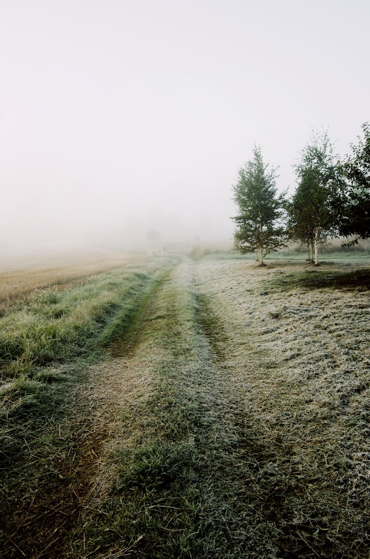 Misty Country Road On Overcast Day In Autumn