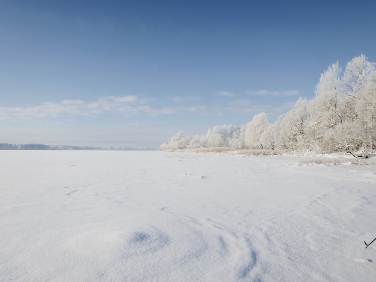 Scenic Landscape Of Snowy Field On Winter Sunny Day