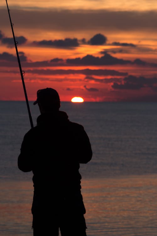 Immagine gratuita di canna da pesca, crepuscolo, in piedi