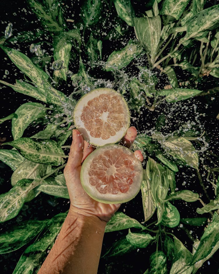 Person Holding Sliced Pomelo Fruit