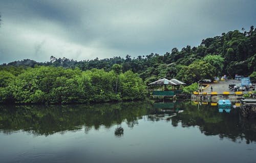 Základová fotografie zdarma na téma cestování, dešťový prales, krajina