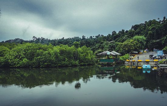Green Trees Beside Body of Water Under Cloudy Sky