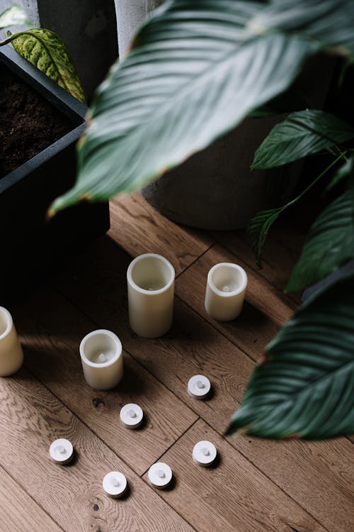 Kostenloses Stock Foto zu blatt, drinnen, flatlay