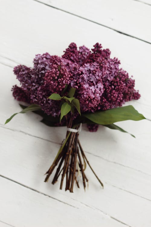 Top view of bouquet of organic lilac flowers placed on white wooden table on spring day