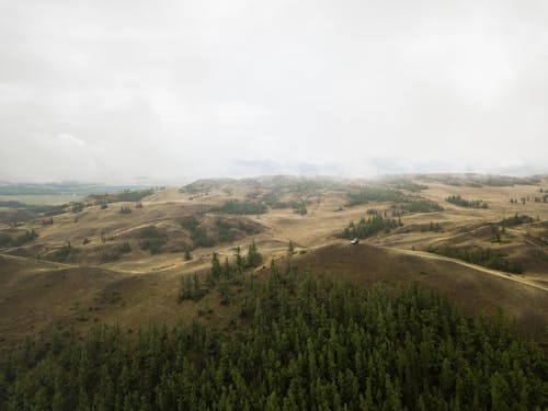 Mountain ridge with trees and hills