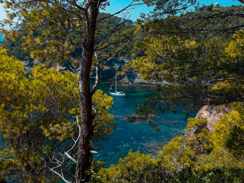 Free Modern vessel floating on clean sea water in lagoon behind green trees on summer day Stock Photo