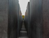 Narrow path and dark concrete walls of labyrinth on autumn day in park