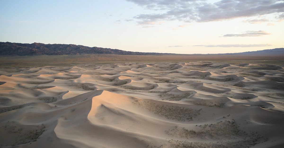Steppe and dunes of the Gobi Desert at dusk