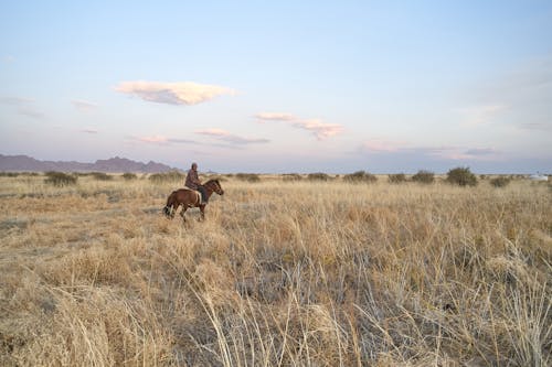 Anonymous male in warm clothes riding horse in wide field in daytime in summer