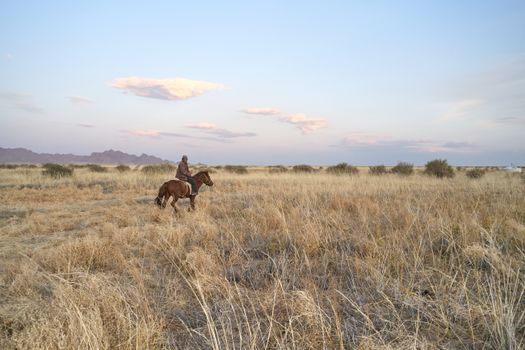Anonymous male in warm clothes riding horse in wide field in daytime in summer