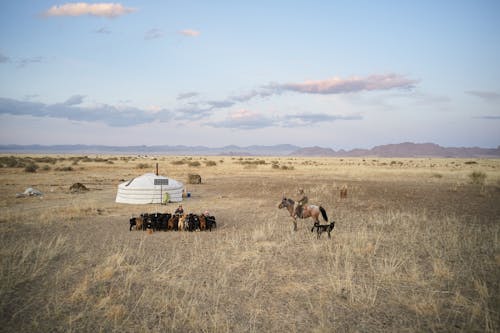 Free Man sitting on horse on field near small nomad settlement Stock Photo