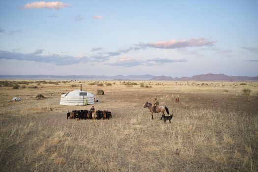 Man sitting on horse on field near small nomad settlement