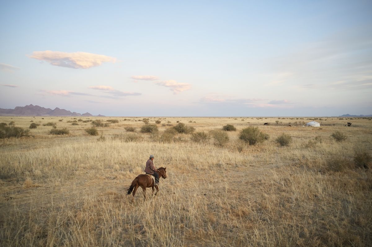 A rider crosses open steppe grassland on horseback, a single ger visible on the horizon and mountains beyond, the horse choosing its own footing across ground that would trip a careless one.