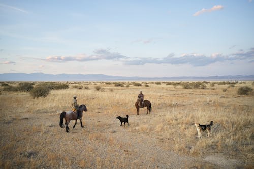 Free Dogs and men on horses in valley Stock Photo