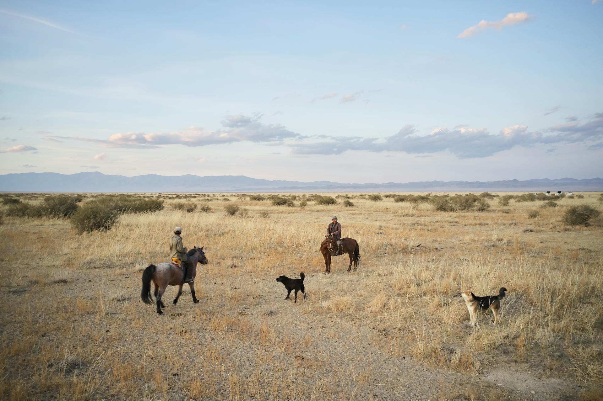 Dogs and men on horses in valley