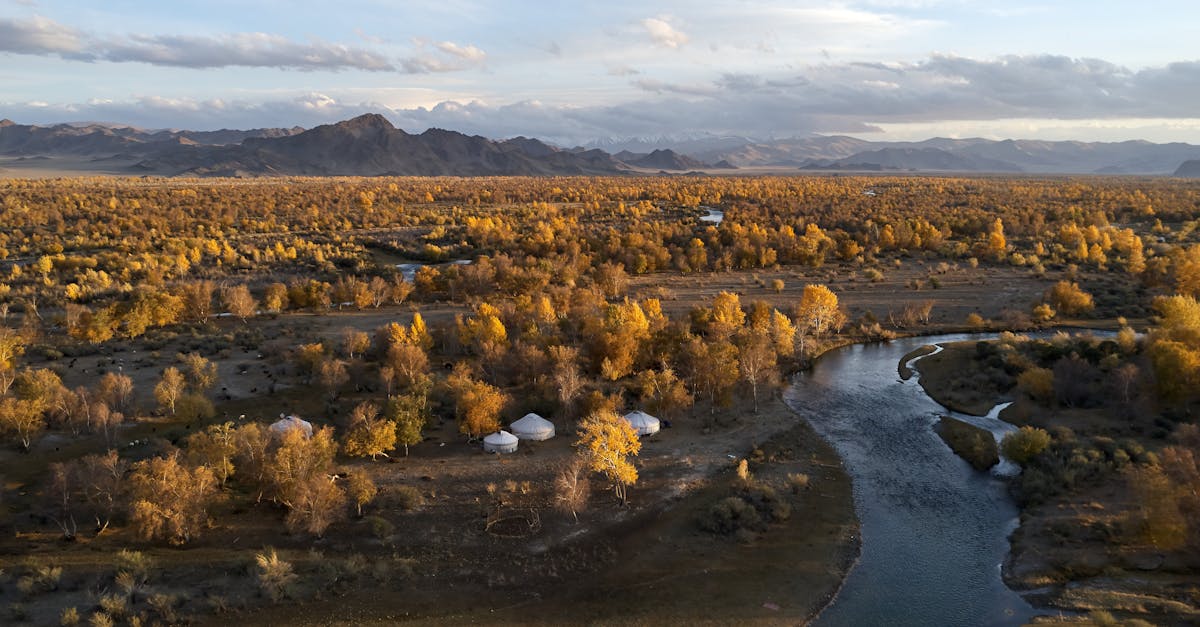 Aerial view of picturesque autumn forest located near river flowing in mountainous landscape in evening time