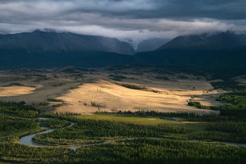 Mountain valley with forest and river