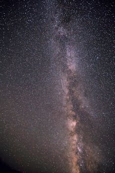 From below of breathtaking wonderful cloudless clear night sky with pleiad of bright shiny stars and milky way