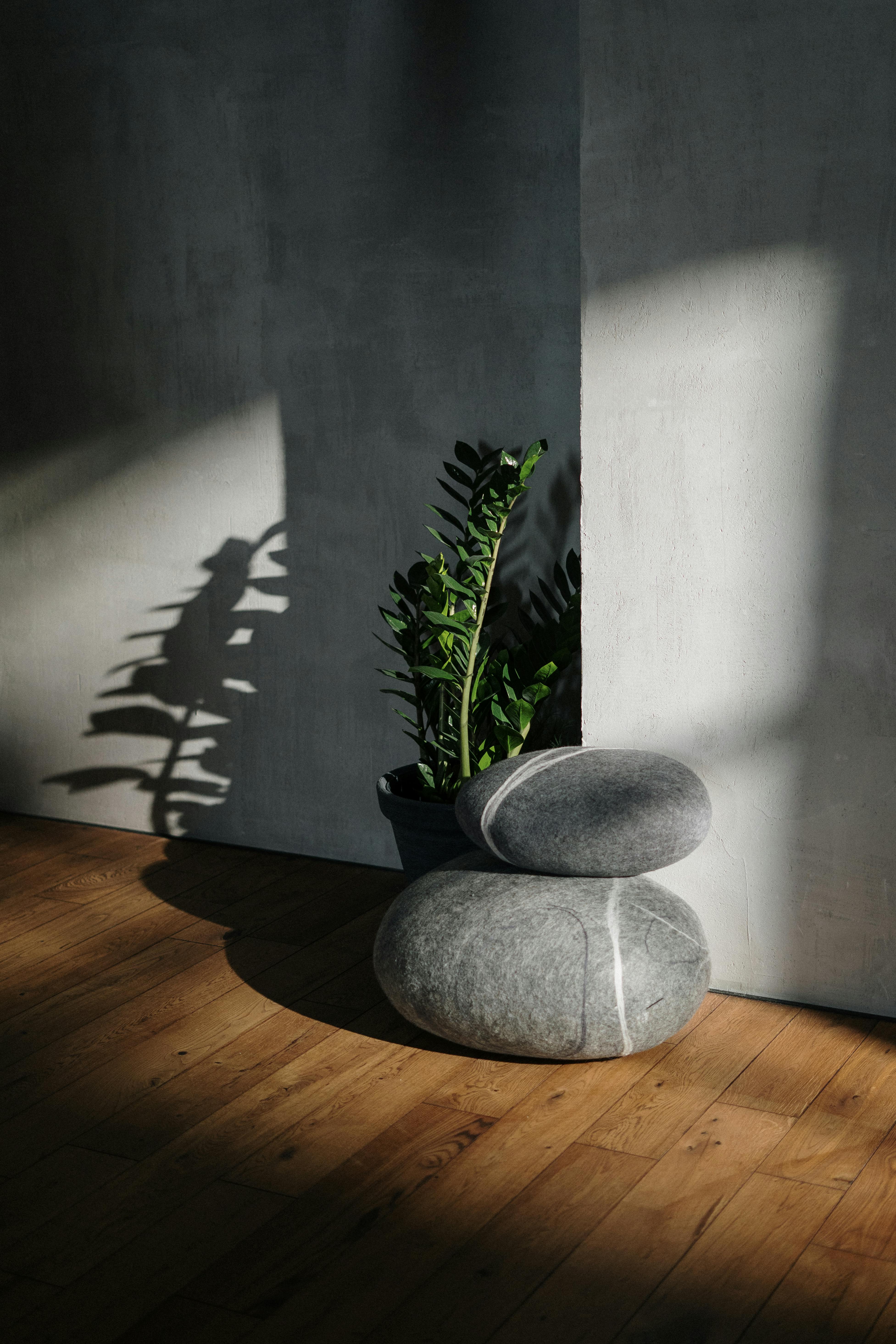 Free Sunlit minimalist setup with plant and stones casting shadows on wooden floor. Stock Photo