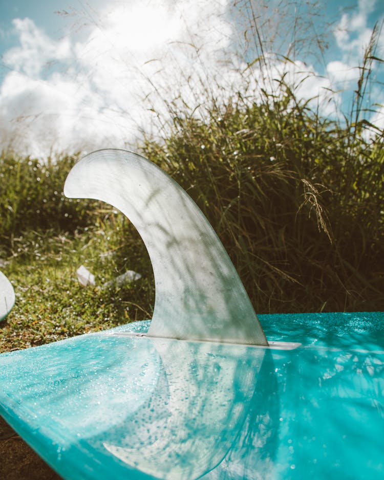 Surfboard With Fin Near Grass