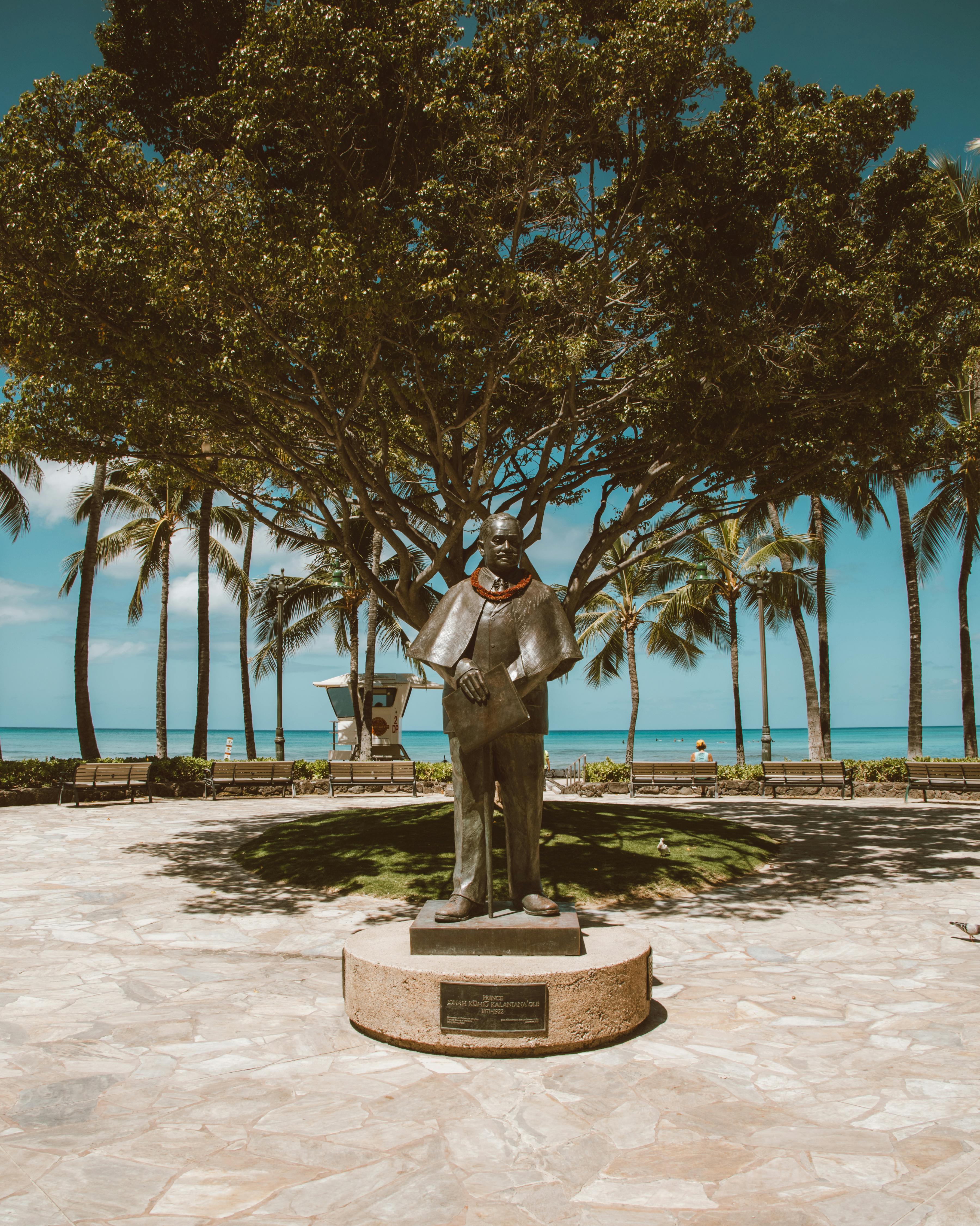 夏威夷檀香山库希奥海滩的库希奥王子的青铜雕像，位于热带棕榈树下