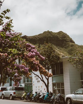 Mopeds line the street under blooming trees with Diamond Head in the background.