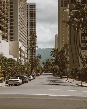 A city street flanked by tall buildings and palm trees, leading to distant mountains.