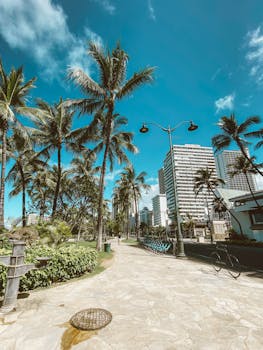 Photo by Jess Loiterton Scenic pathway lined with palm trees in Waikiki, Honolulu, with clear blue skies and modern architecture.