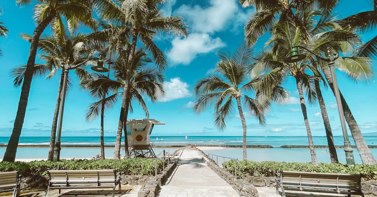 Waikiki Beach Waterfront