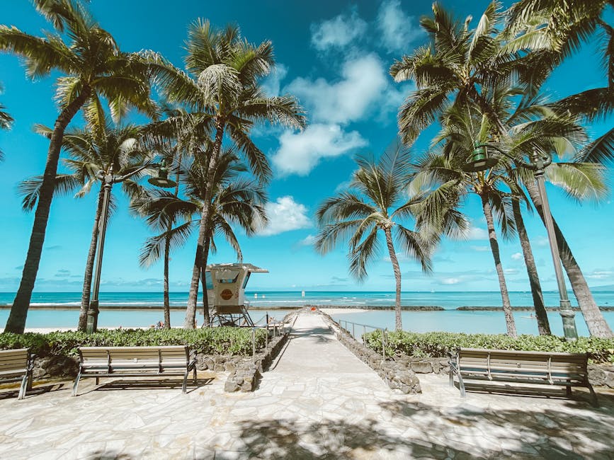 Photo by Jess Loiterton Beautiful Waikiki Beach with palm trees and lifeguard tower under clear blue skies.