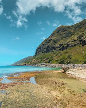夏威夷岩石海岸线的壮丽景色，以郁郁葱葱的山脉和晴朗的蓝天为背景