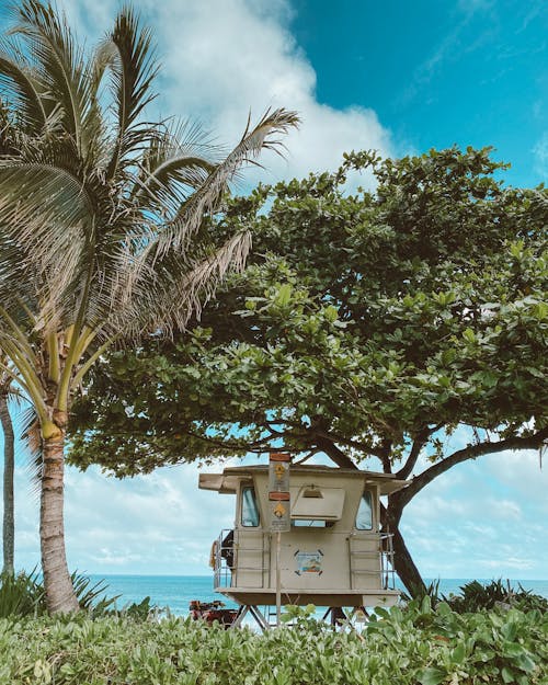 คลังภาพถ่ายฟรี ของ ชายทะเล, ชายหาด, ต้นมะพร้าว
