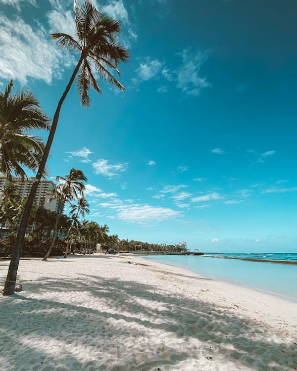 The White Sand of a Beach