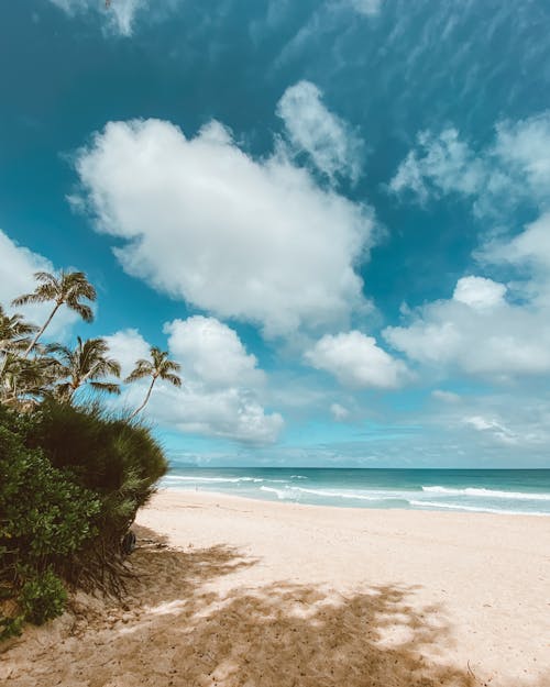 Beautiful Scenery in the Beach