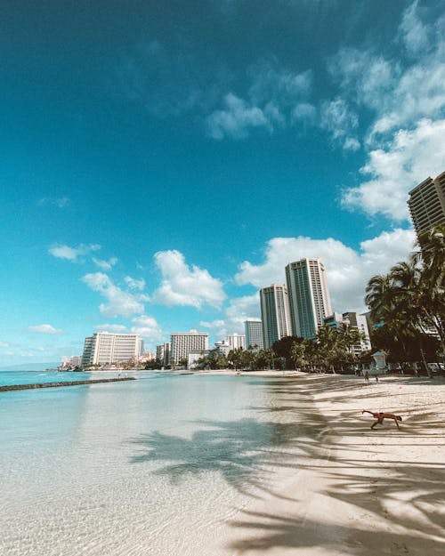 Beachfront Hotels in Waikiki Hawaii